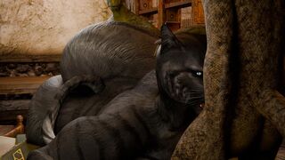 [Zenith741] Khajiit Double Team