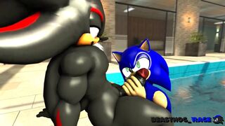 Sonic and Shadow [DarkBeasthog]