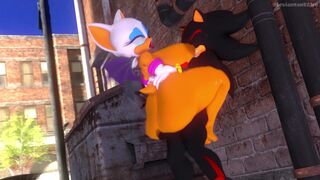 Shadow fucking Rouge in the alley