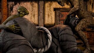 The lizards and the cat