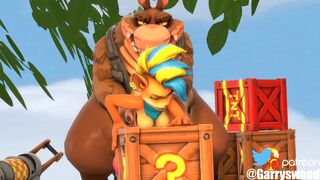 Tawna Bandicoot - Garryswood