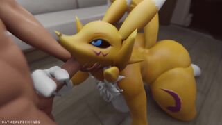 Renamon Compilation 2
