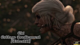 Ciri Cottage Predicament [HighBR][Fatcat17][NO WM]