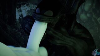 [Dasharky3d] Make it quick