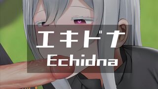 Echidna (v3EX) [Ginhaha(10/2020)]