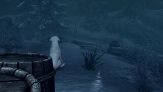 A Daedra's Best Friend Part 2