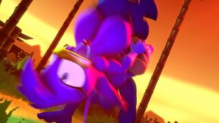 Sonic fucking Wave in the Sunset [saucereturns]