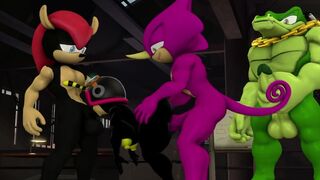Gender Swap Chaotix