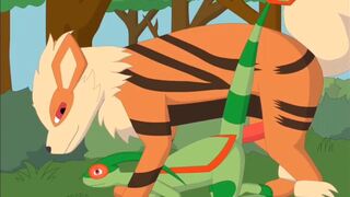 Arcanine x flygon