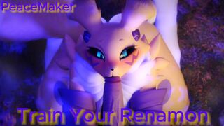 Train Your Renamon