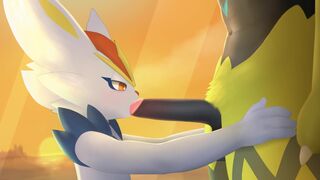 Cinderace ＆ Zeraora