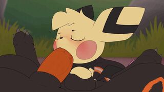 Pichu succ