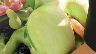 Dinossom Training『Furromantic』