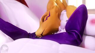 Renamon(Furromantic)[Subtitulado Por Brown]