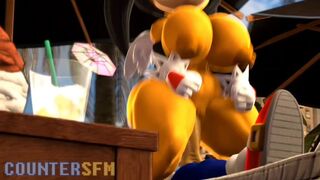 Honey the cat cowgirl