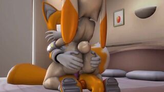 Tails and Cream In inside the Spring