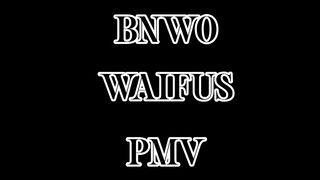 BNWO WAIFUS PMV