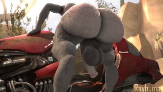 sangheili cleaning bike