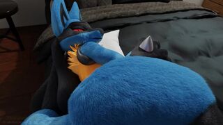 Lucario Needs Attention