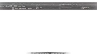 the shimmering horizon maid