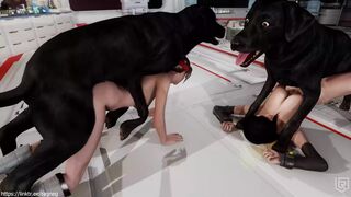 All dogs go to 7th Heaven Part 3 I Trailer