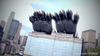 Woof - Multiple Angles