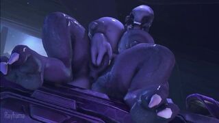 sangheili fingering herslef