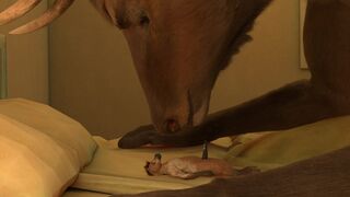 Oral vore by untied verbegar