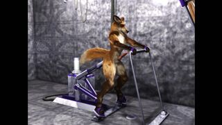 Yiffing Machine Taurin Fox