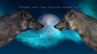 Two Wolves