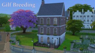 Gilf Breeding (Sim Doe)