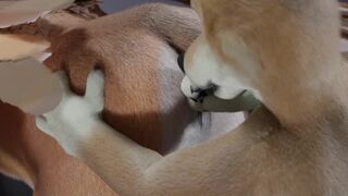 Unbirth by untied verbegar