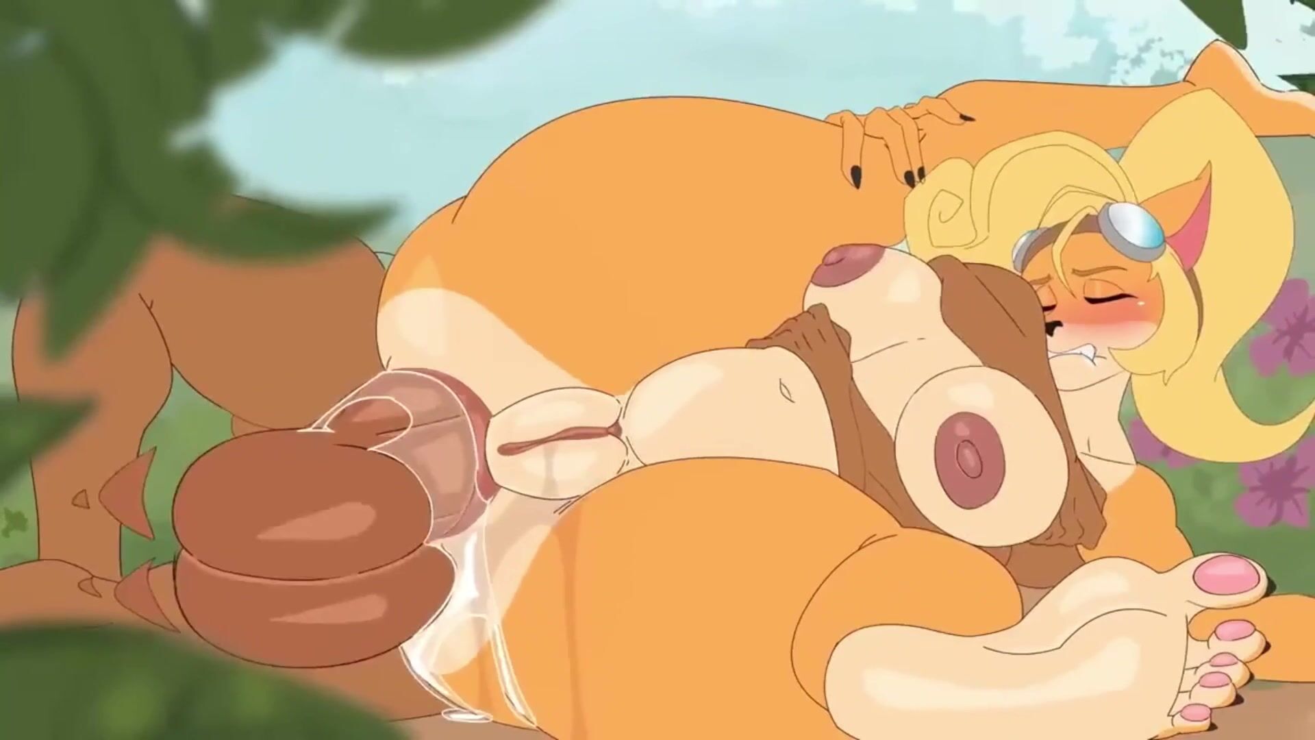 Coco Getting Filled With Cocoa