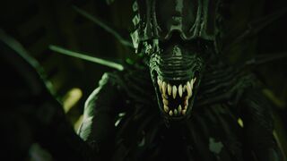 xeno queen