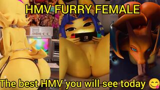 The best furry HMV you will see today ????