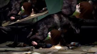 dog meat - all angles  in 1