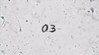 [ATD]ULTPHI 03 WHITE REVIVE