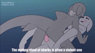 Shark Week - (Sound/4K) [Whygena]
