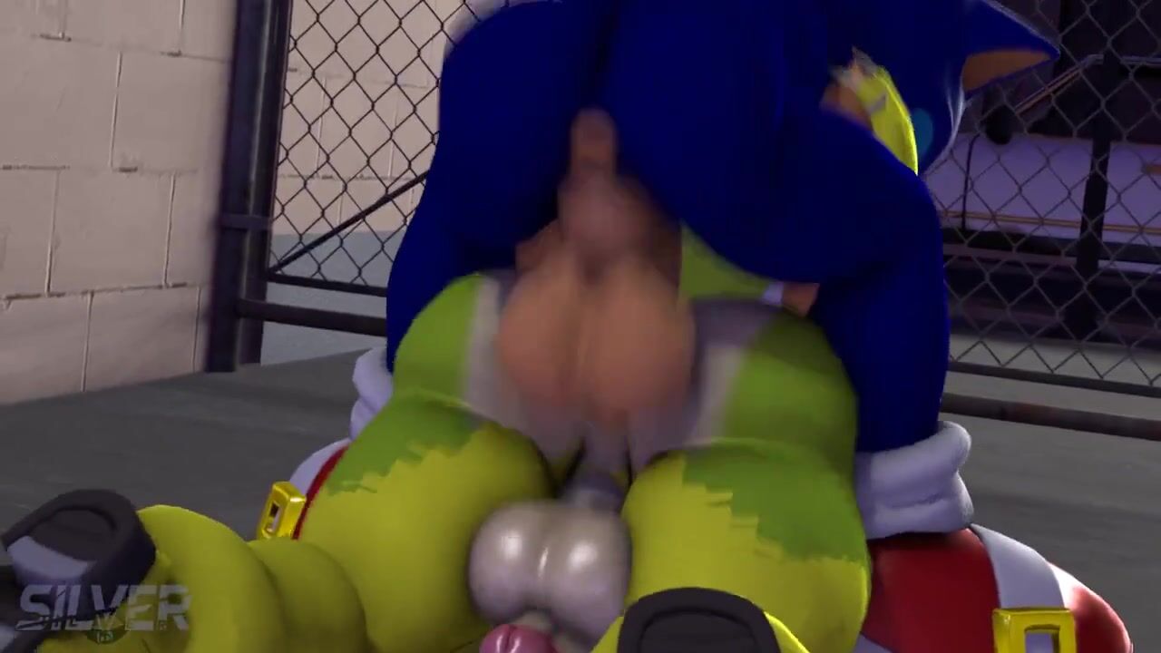 Sonic Smashing Surge