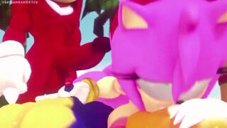 Sonic SFM Compilation