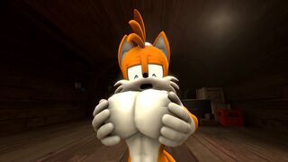 Tails and the femgem by killerchidna