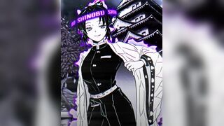 SHINOBU VS MITSURI | WIS/HMV