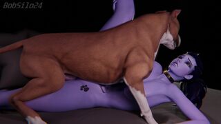 Widowmaker Acrobatics with Dog