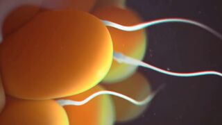 Impregnated By Orcs (4K)