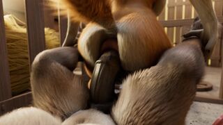 Donkey and Dog (H0rs3)