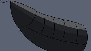 Helicop cock in airplane