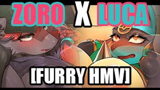 [Furry Hmv] Zoro X Luca