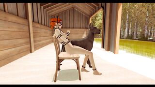 V.E.N.U.S. - Can Cats and Dogs be Friends?