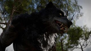 Play Video REKIN3D PMV