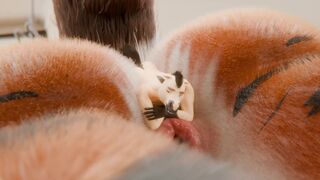 Unbirth by Canadian1579 and untied verbegar